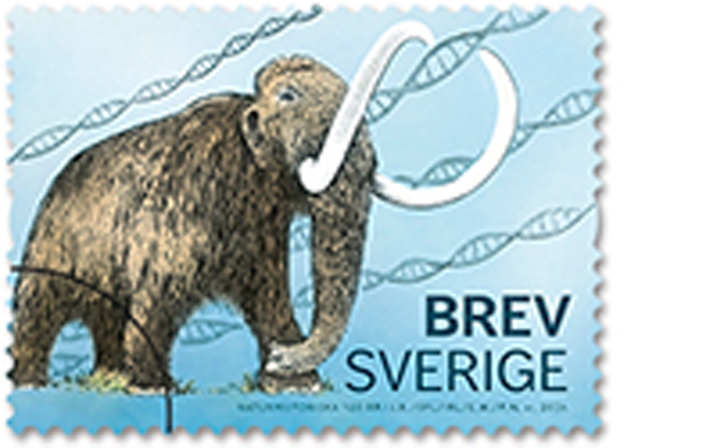 Frimärksugåva Naturhistoriska riksmuseet 100 år